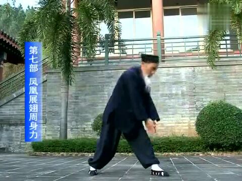 八部金刚功完整演示_腾讯视频