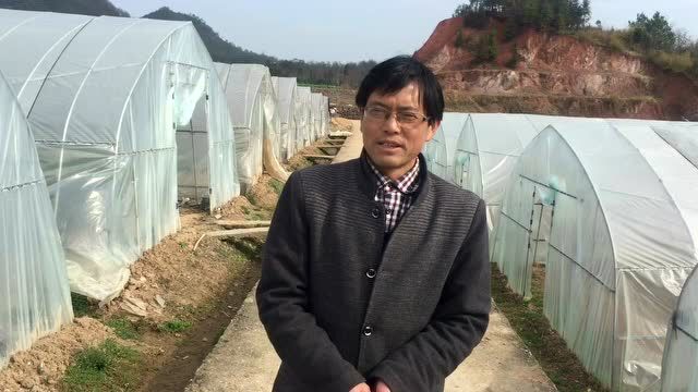 千岛湖浪川乡杨建威果蔬基地采访视频