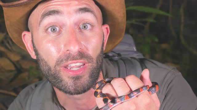 coyote peterson疯狂无极限