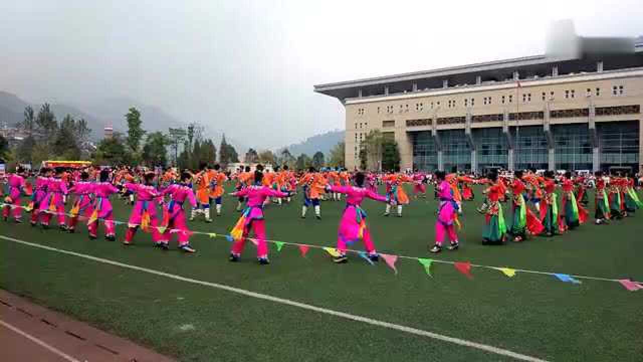 藏族羌族锅庄舞_高清1080P在线观看平台_腾讯视频