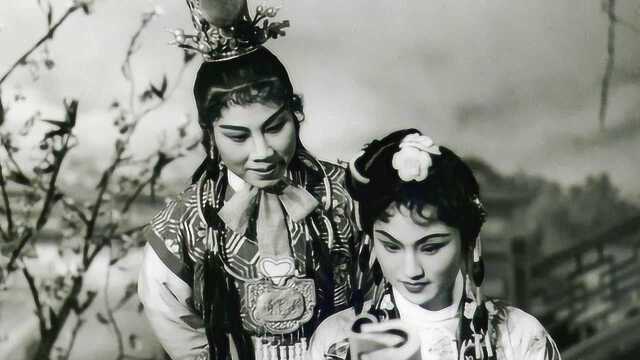 徐玉兰,郑国凤,钱惠丽同唱"天上掉下个林妹妹"_腾讯视频