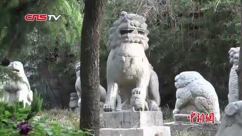 郑州“狮子林”摆500余头石狮 收藏者愿全部捐出建博物馆