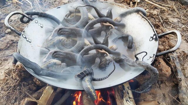 油炸全蛇不好吃?看柬埔寨小孩这样爆炒麻辣蛇,弟弟吃得满头大汗