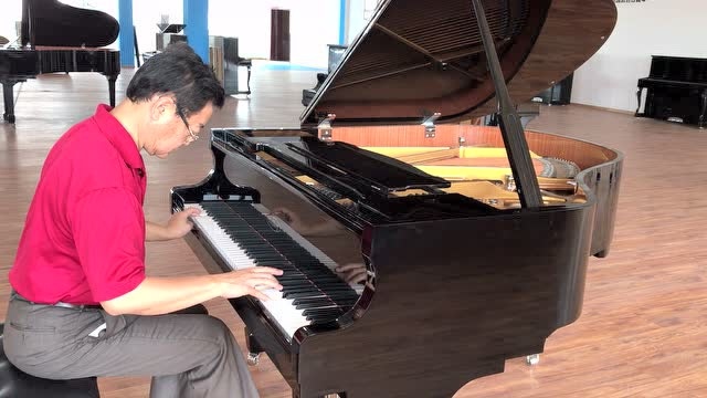 厦门大学艺术学院薛小明教授弹奏凯百日钢琴