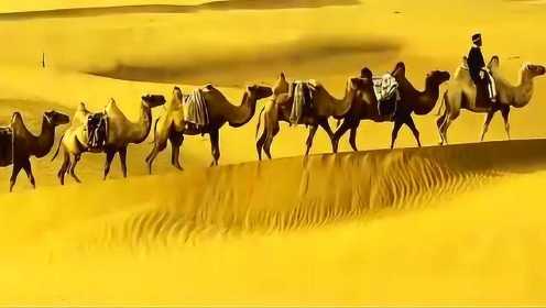 《天边的骆驼》—蒋大为作词作曲并演唱的一首好听的民歌！