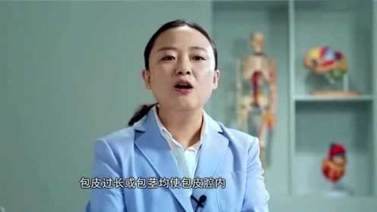 《人体系统解剖学》第6章男性生殖系统2、男性外生殖器_高清