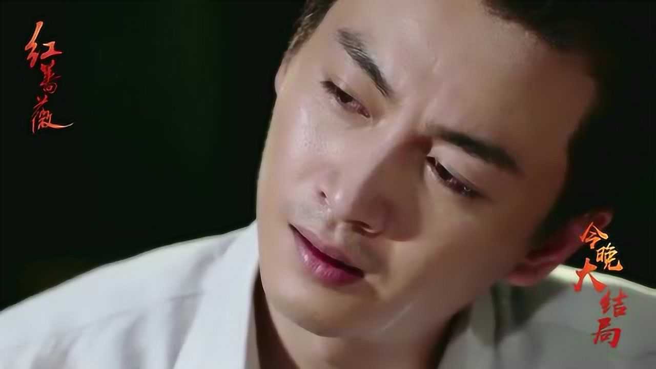 电视剧红蔷薇大结局陈晓哭到让人心碎