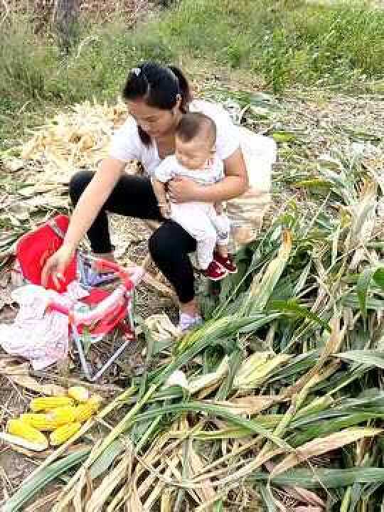 农村妹子抱着孩子剥包谷