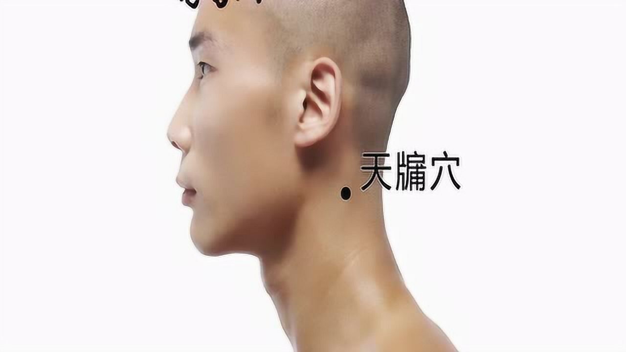 将象和中医艾灸针灸取穴:天牖穴_高清1080P在线观看平台_腾讯视频