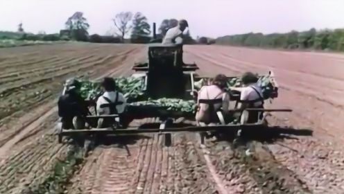1943年拍摄的纪录片：英国农业机械化的故事