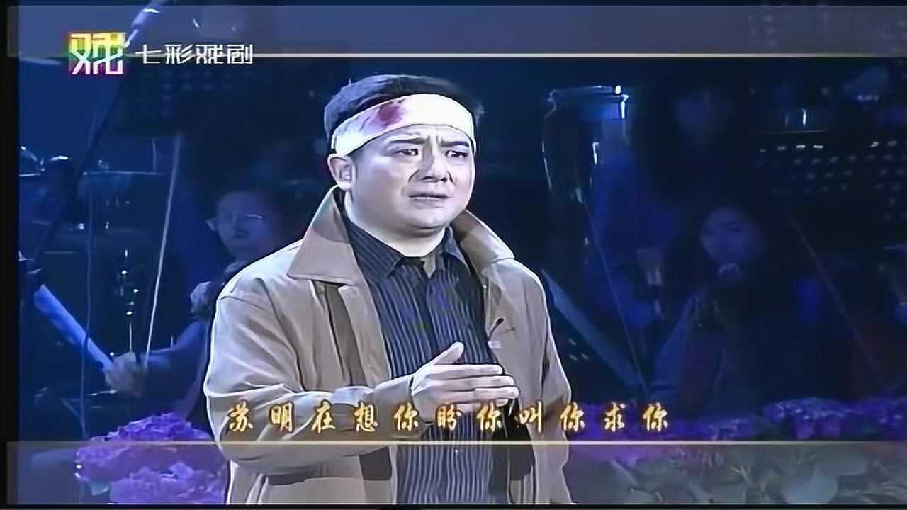 《春色2007 孙徐春沪剧原唱金曲演唱会》