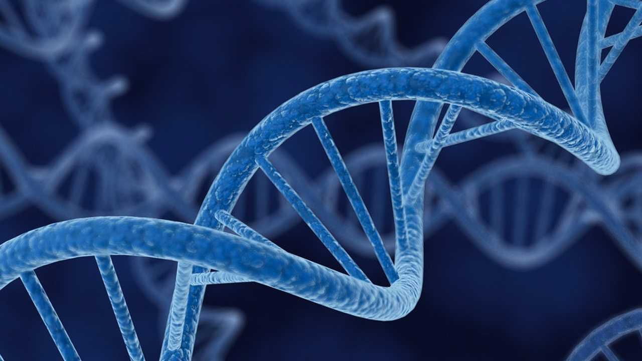 人体的基因,dna,染色体究竟有什么区别?2分钟快速了解一下