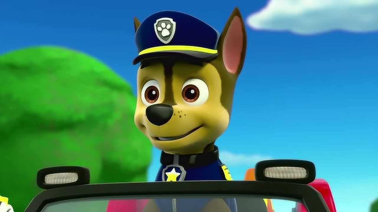 汪汪队立大功:小砾提醒阿奇你可以以后来看他猫头鹰他们睡着了