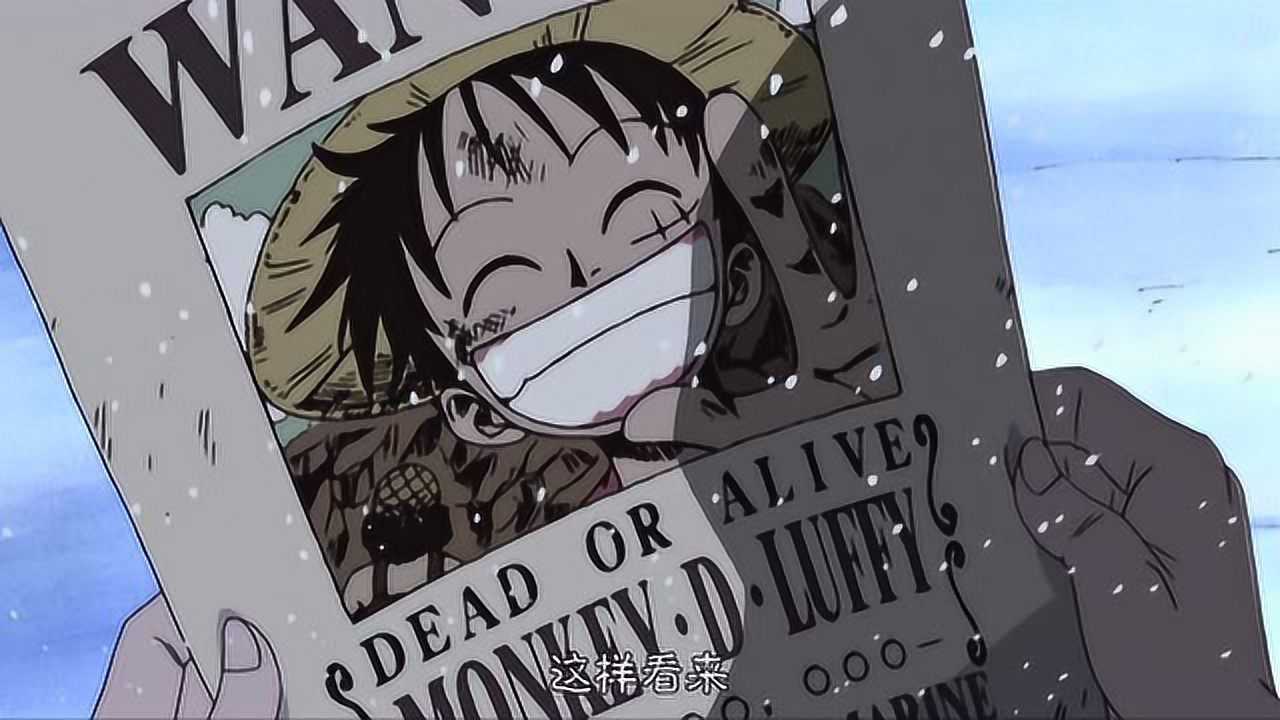 库蕾哈看到路飞通缉令的那一刻直接给出了完美答案