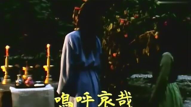 贾宝玉写的芙蓉女儿诔,明是祭晴雯,实际是祭黛玉,这点观者须认清