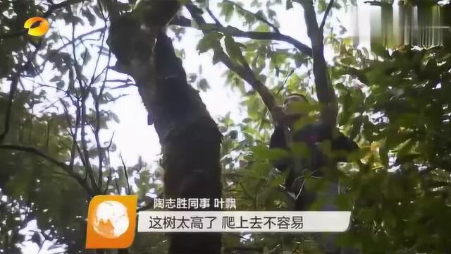 南山国家公园建立自然保护地体系