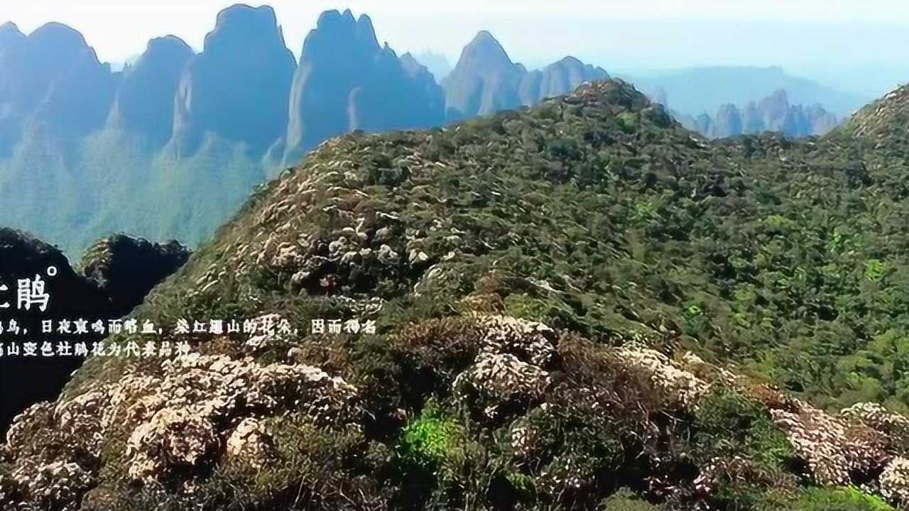 【世界瑶都中国金秀】金秀瑶族自治县旅游宣传片(2018年)_高清1080P在线观看平台_腾讯视频