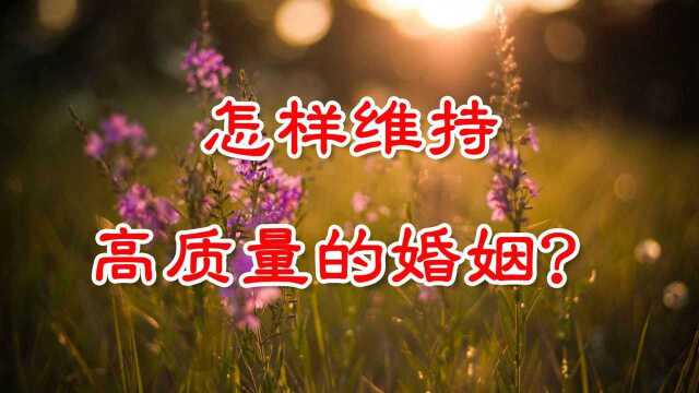 夫妻相处之道:怎样才能维持高质量的婚姻?