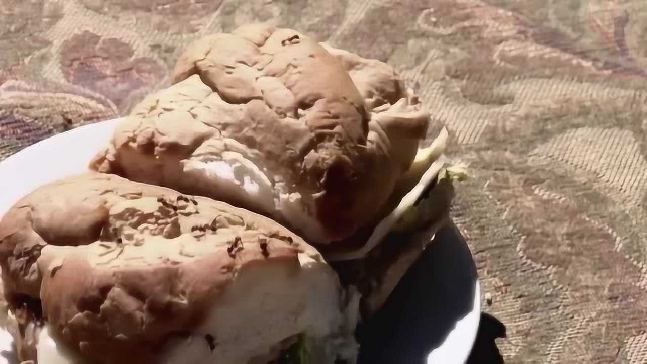 美女在食人蚁窝上野餐瞬间被十几万食人蚁包裹吃掉