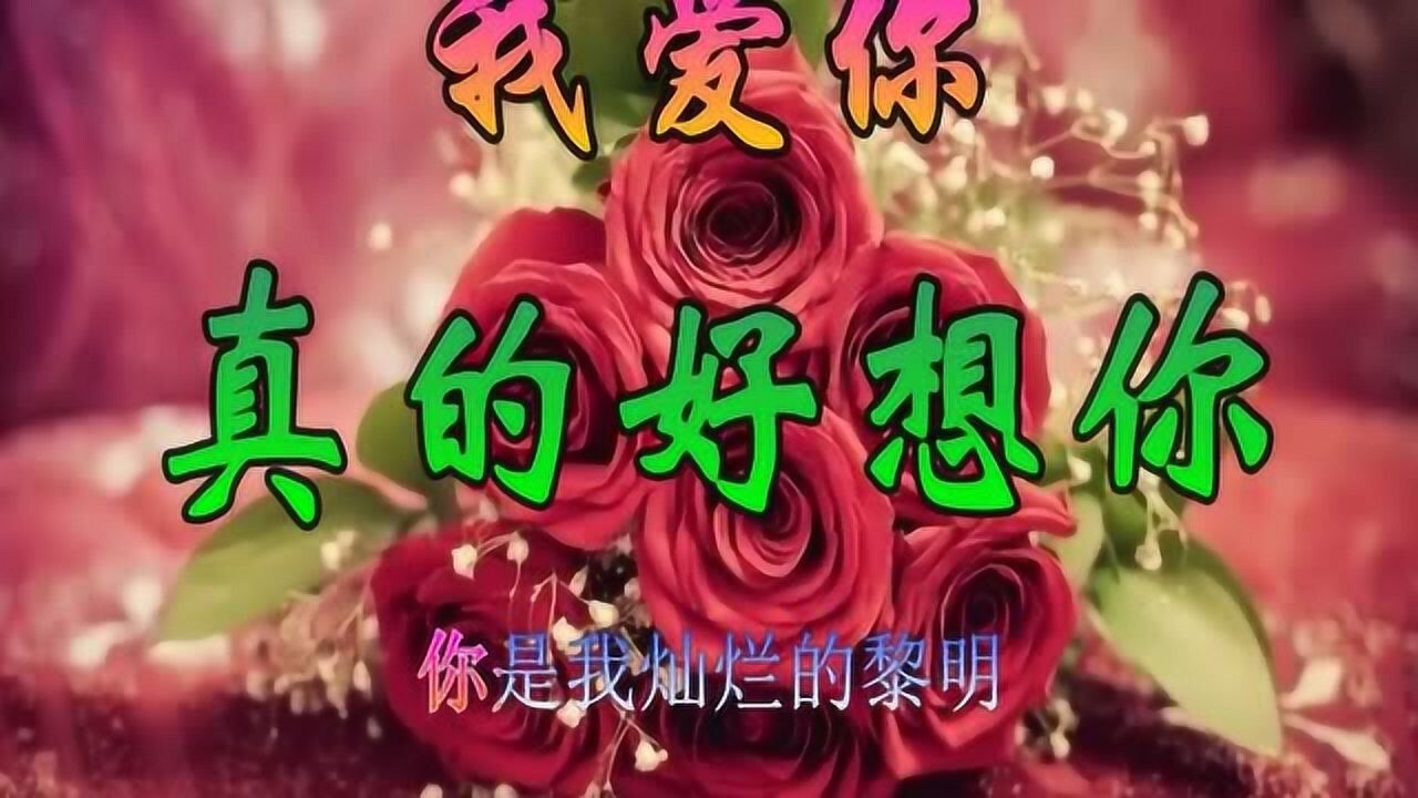 一首毛阿敏經典歌曲《真的好想你》無眠的夜,我真的好想你!