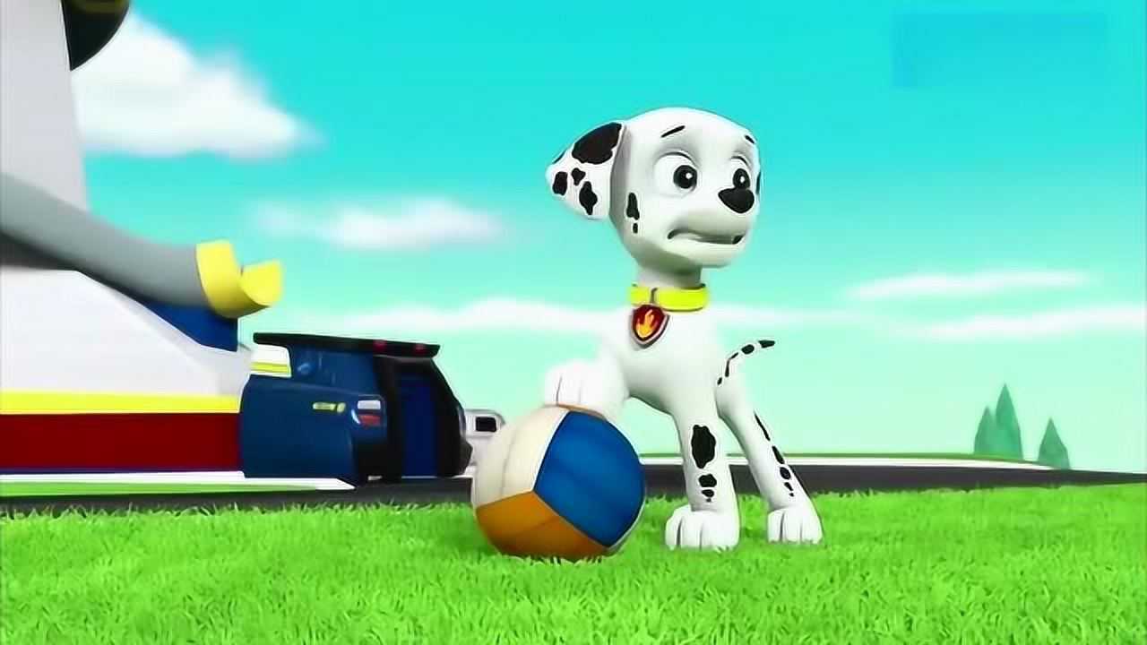 汪汪队立大功:毛毛的误解导致它离开汪汪队