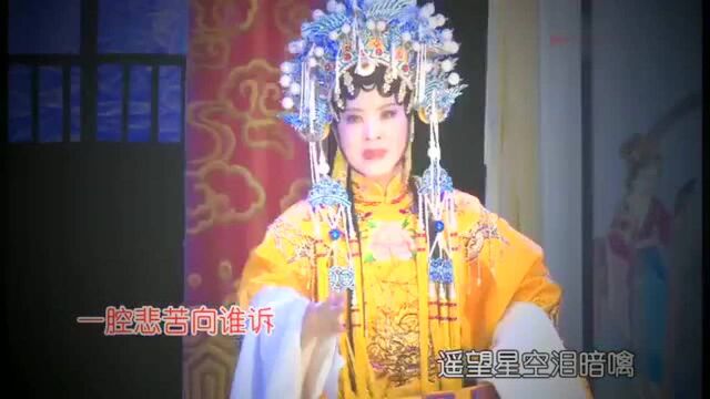 潮剧「漫天盖地风雨淋」许绮丽《飞龙女》选段