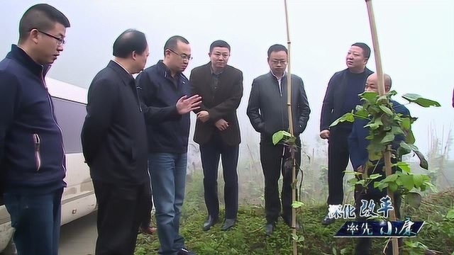 郭伟谊到镇宁县、紫云县开展考察