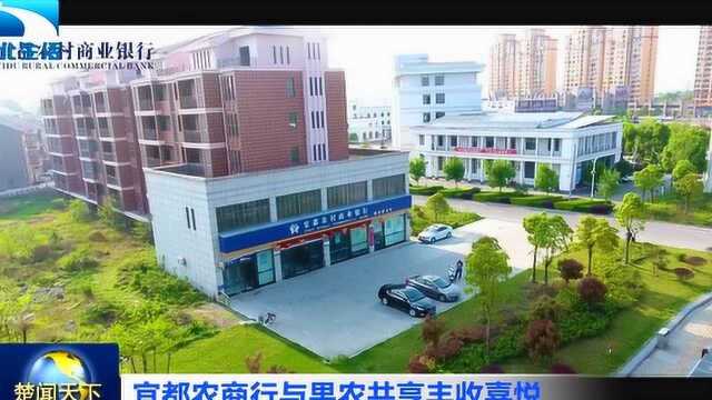 湖北电视台报道《宜都市农村商业银行》