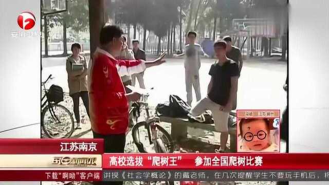 江苏南京:高校选拔“爬树王”,参加全国爬树比赛