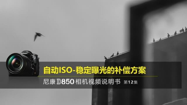 D850说明书第12集自动ISO