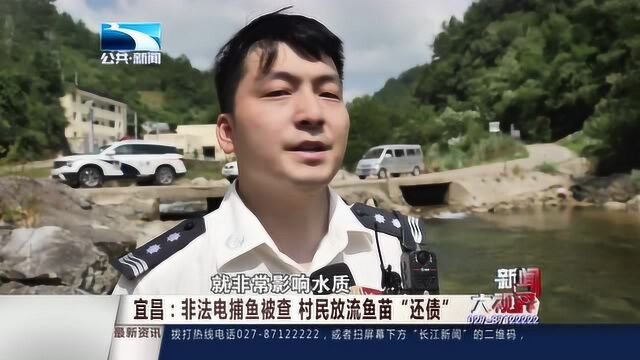 宜昌:非法电捕鱼被查 村民放流鱼苗“还债”