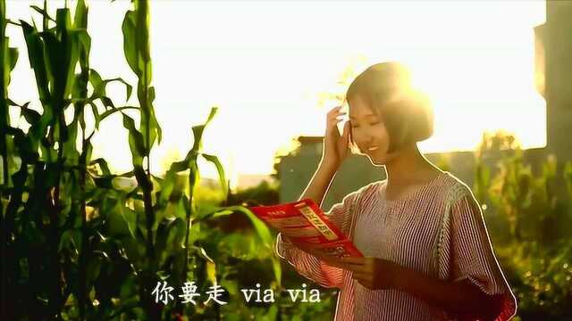 《夏花绚烂》音乐MV