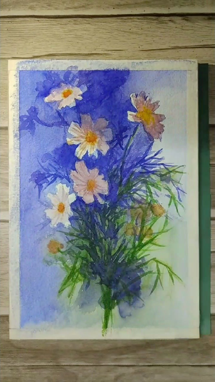 用水彩颜料画一幅大波斯菊图,第一次画这种类型的花