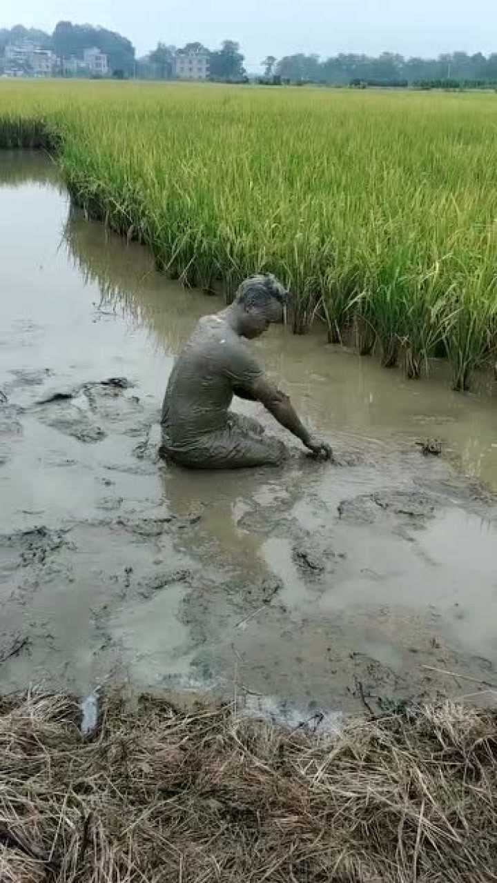 农村小伙为了赶鸟把自己做成泥巴人