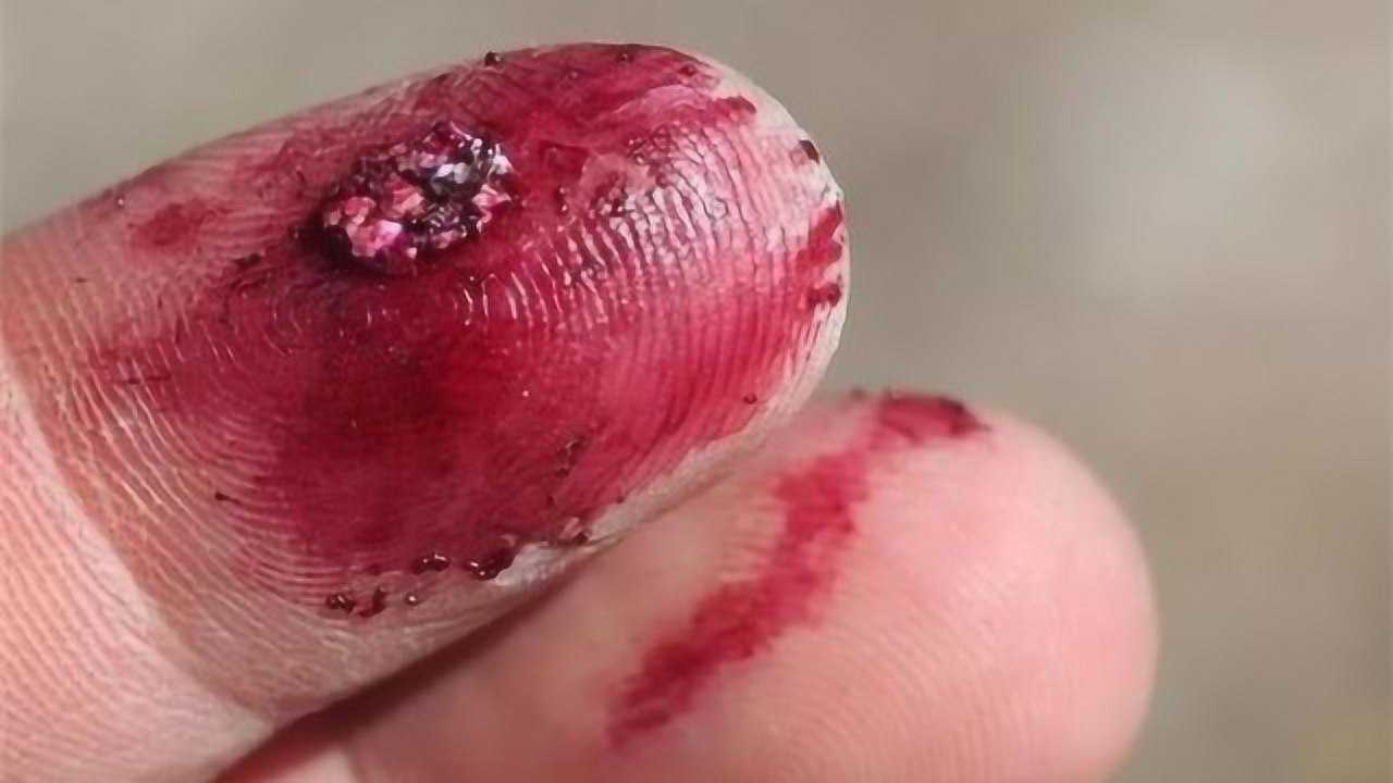 口红是用虫子尸体做的?越贵的口红虫子尸体含量越高?看完不敢用了