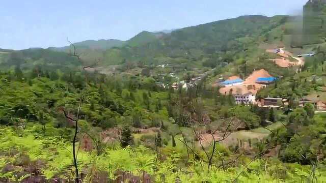 风水宝地农村小伙祖传风水二十年,看他如何寻龙点穴