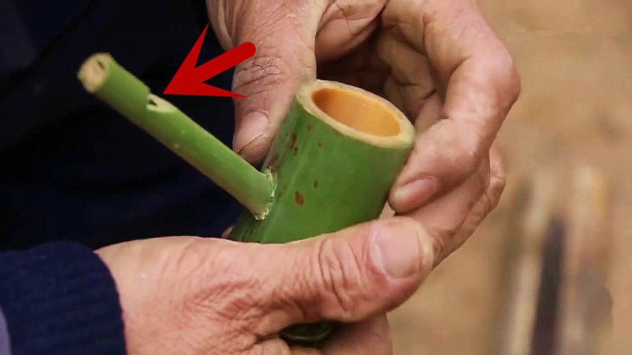 爷爷选来一截竹子简单制作成哨子吹出了鸟叫哄孙子开心