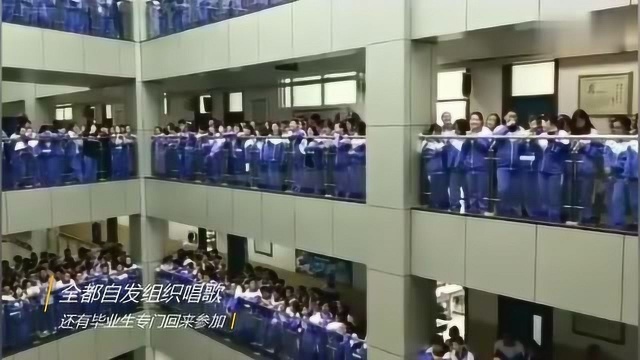 长春东北师范大学附属中学千人合唱《单身情歌》!