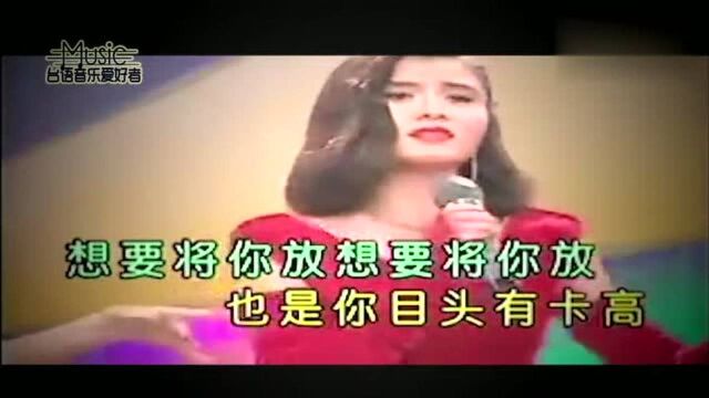 闽南歌《怀念的人》张婉怡