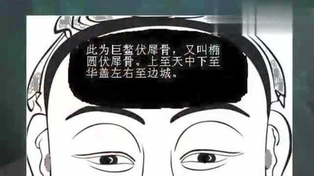 大有玄机:骨相学中这种头骨注定长寿聪明,揭秘影响富贵的骨相