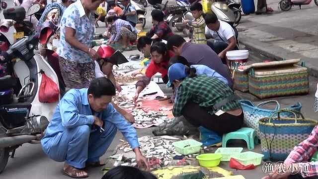 渔农小池:夫妻俩早上打鱼回集市卖,十几斤鱼虾200多块,真开心