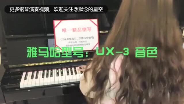 唯美的古典钢琴曲《秘密的庭院》