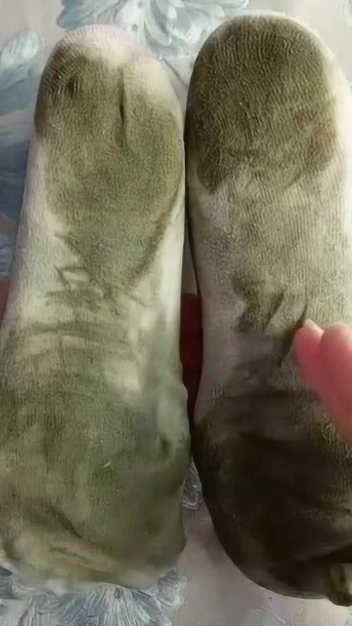 白袜子脏了这样洗焕然一新