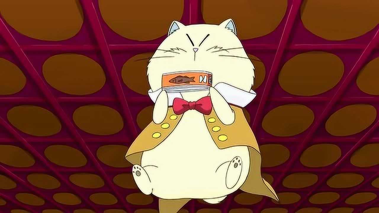 甜心格格作为一只绅士猫是必须要用刀叉吃饭的