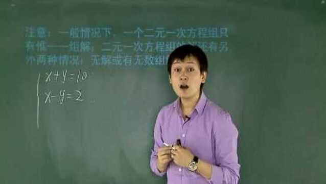 初中数学:二元一次方程组的概念及基本解法例题详细讲解,这样解题