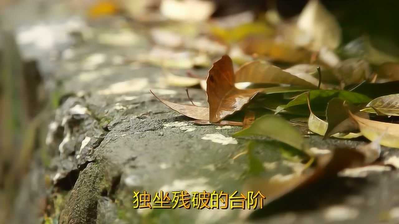 五月天经典歌曲《步步》,唱得太深情了,听完回味无穷!_腾讯视频