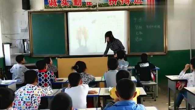 现在的小学生就是这样上课的:总结方法并推广,小组讨论交流分享