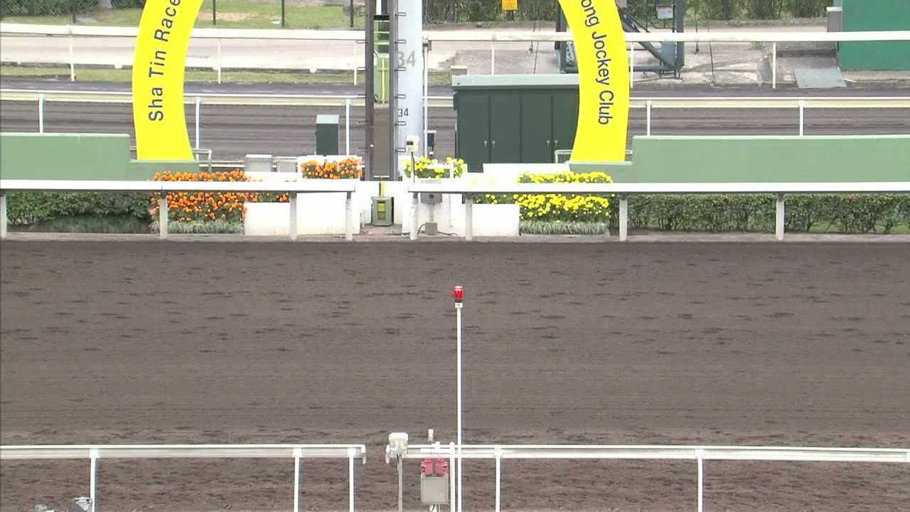 莱德马业售出赛驹“蒙古传奇”扬威香港沙田_1赛马网_第一赛马网