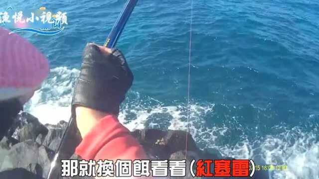 澎湖海钓矶钓,上了新物种,估计你也没钓到过