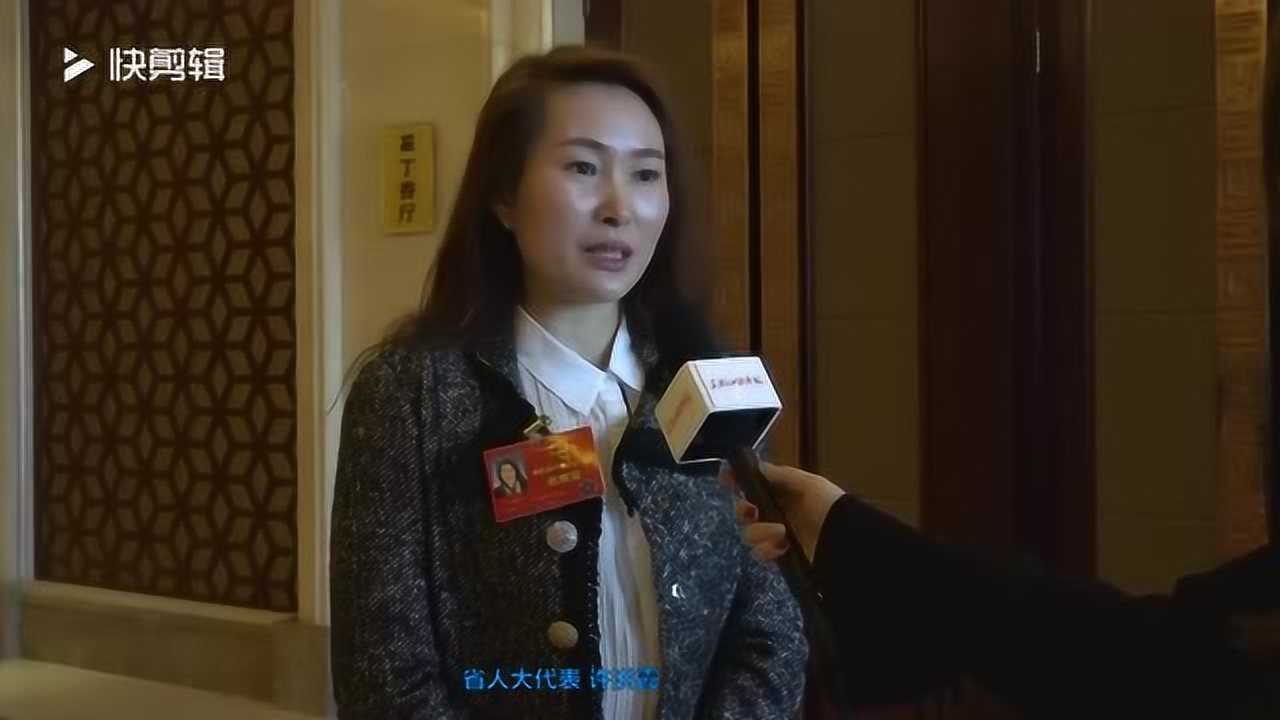 访省人大代表哈尔滨华南城党委书记总经理许洪霞